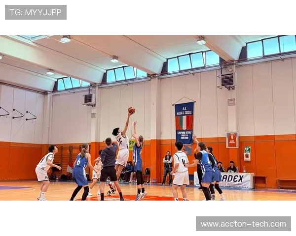 篮球的魅力与挑战：从技术到战术全方位解析篮球运动的精髓