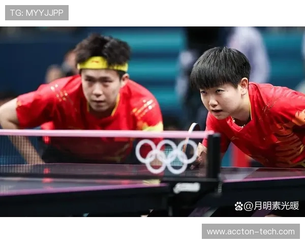 乒乓球运动的魅力与技术发展探索：从基础技巧到国际竞技水平的全面分析