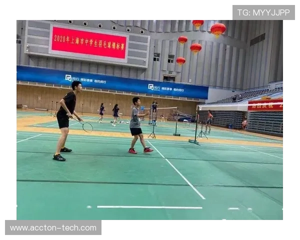 南京羽毛球队的整体压制揭秘：深度解析其战术与训练策略的成功之道