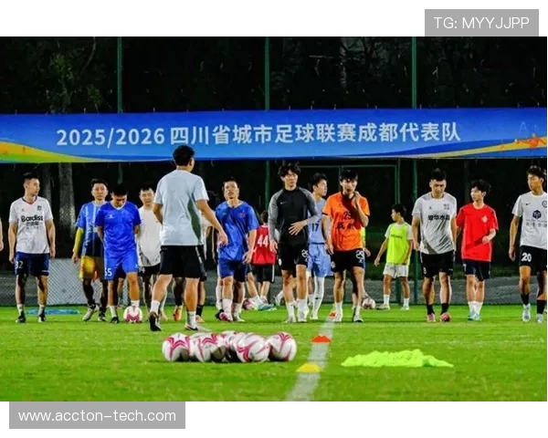 成都足球队实力分析与数据解读揭示球队发展潜力与未来挑战